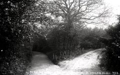 H00177 Pathway to Hollington Church in the Wood, St. Leonards c.1905 - Flickr - East Sussex Libraries Historical Photos.jpg